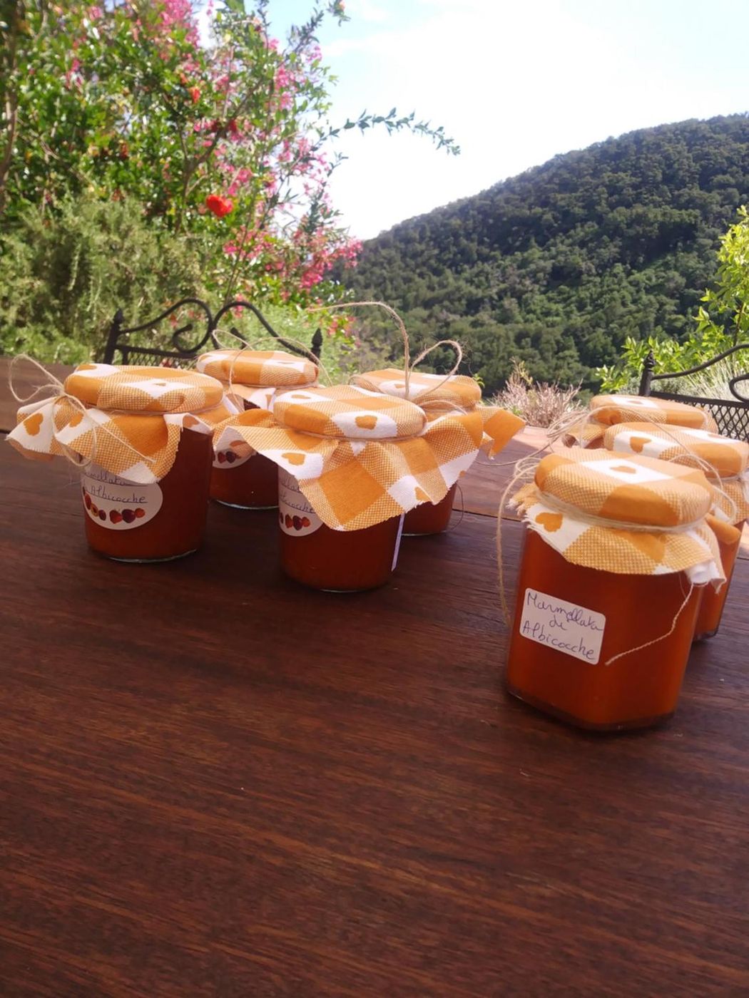 Vasetti di marmellata fatta in casa in fila sul tavolo