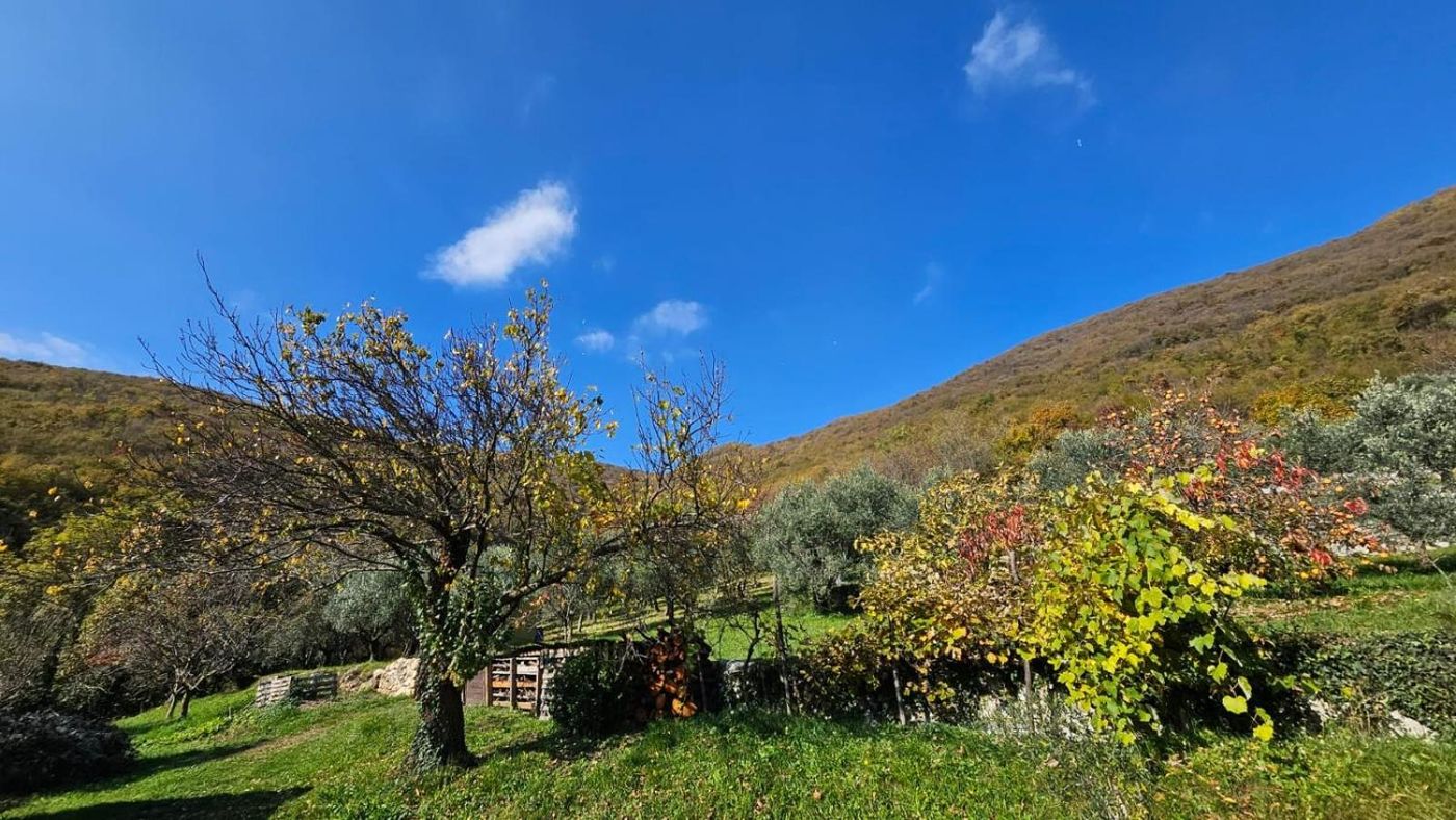 Il prato e gli alberi da frutto in autunno